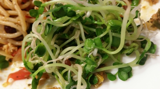 daikon sprouts